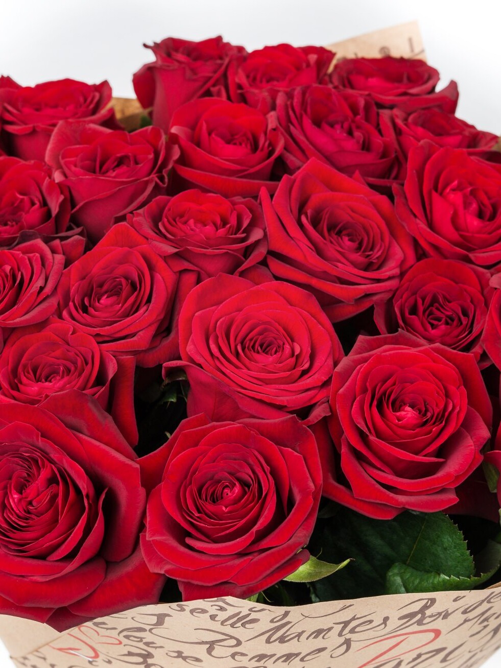 Розы  “Ред Наоми”