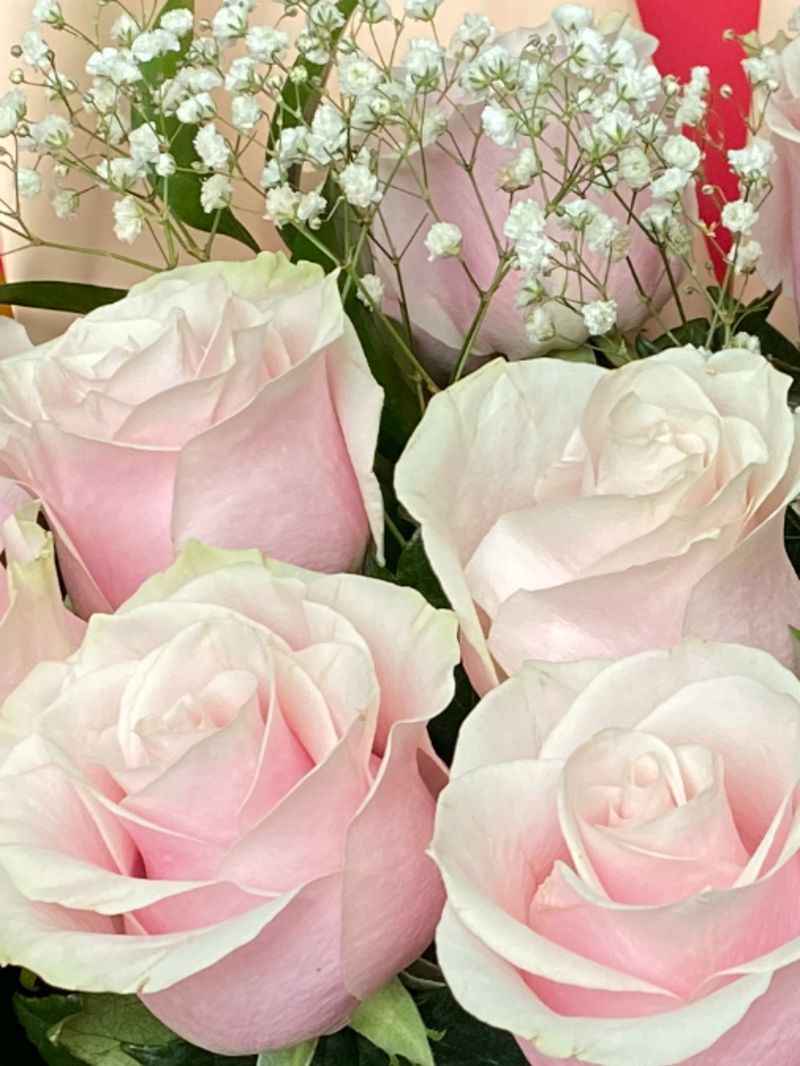 Букет из 15 премиальных розовых роз