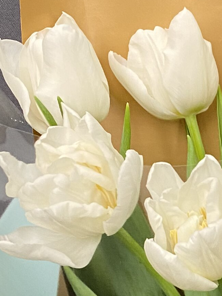 Букет из 7 пионовидных белых тюльпанов