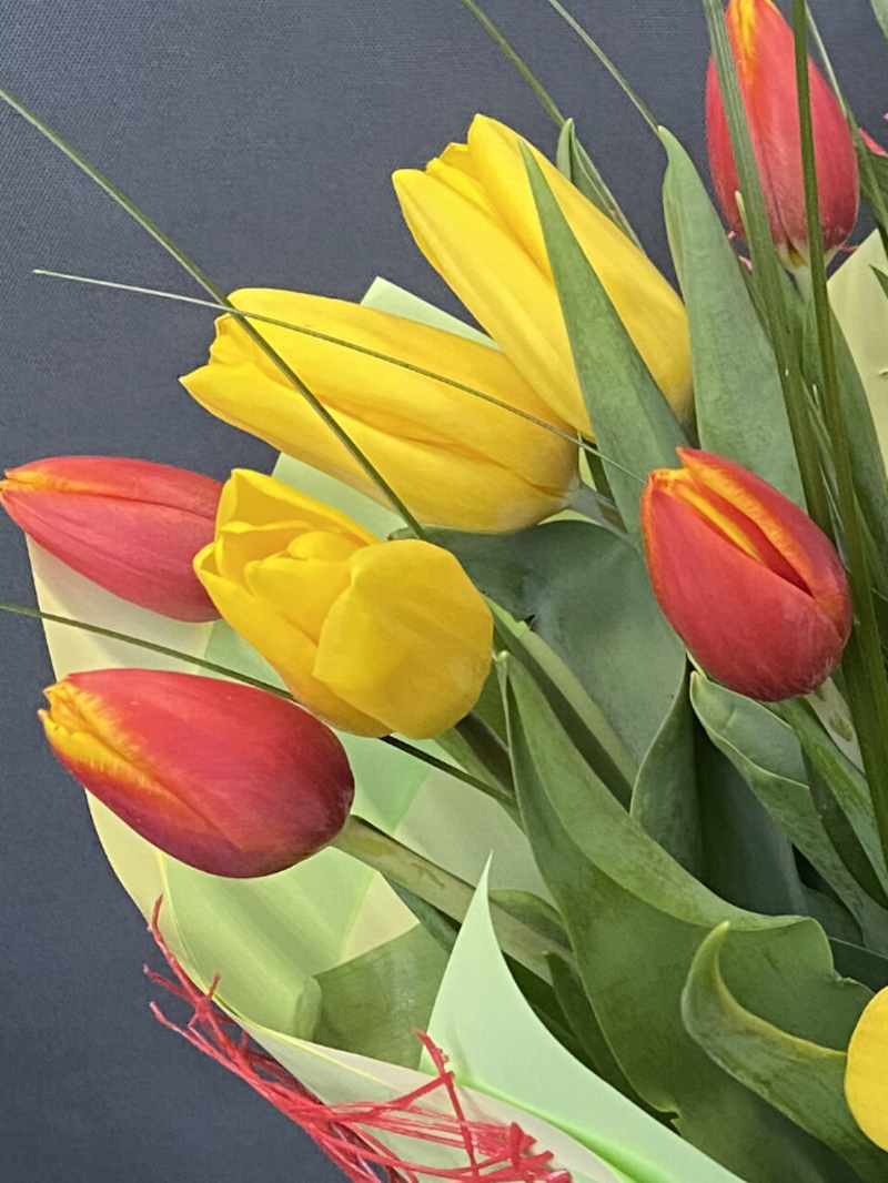 Букет из 15 ярких тюльпанов